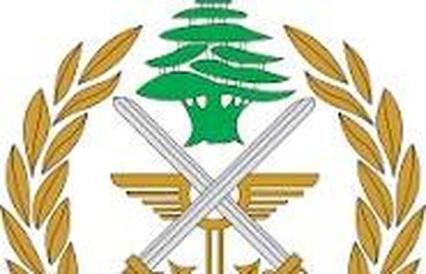 توقيفات وضبط أسلحة في مداهمات للجيش