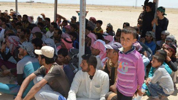 الفلوجة و مأساتها...اسرة تروي كيف لاذت بالفرار بعد أن اختبأت في أنبوب للصرف.