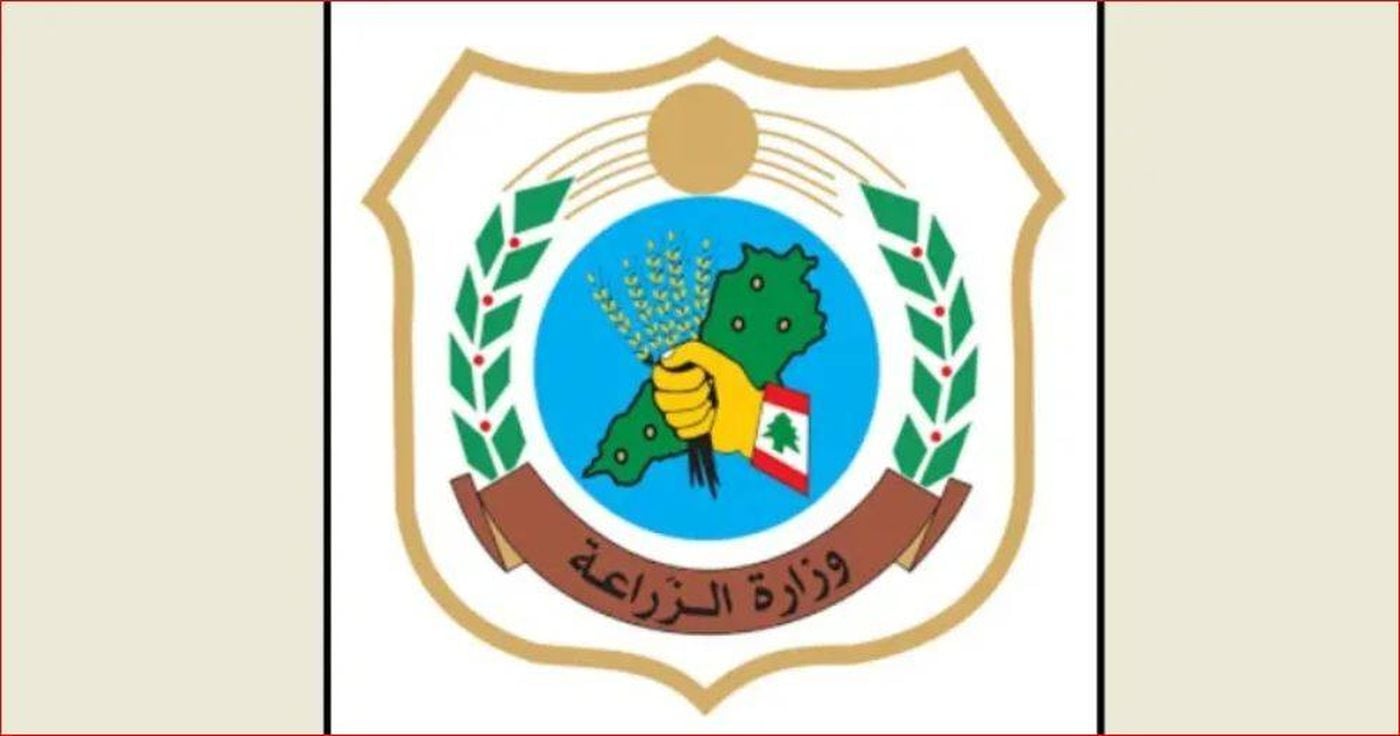 "الزراعة" تبدأ إزالة الشباك المخالفة لحماية الثروة السمكية