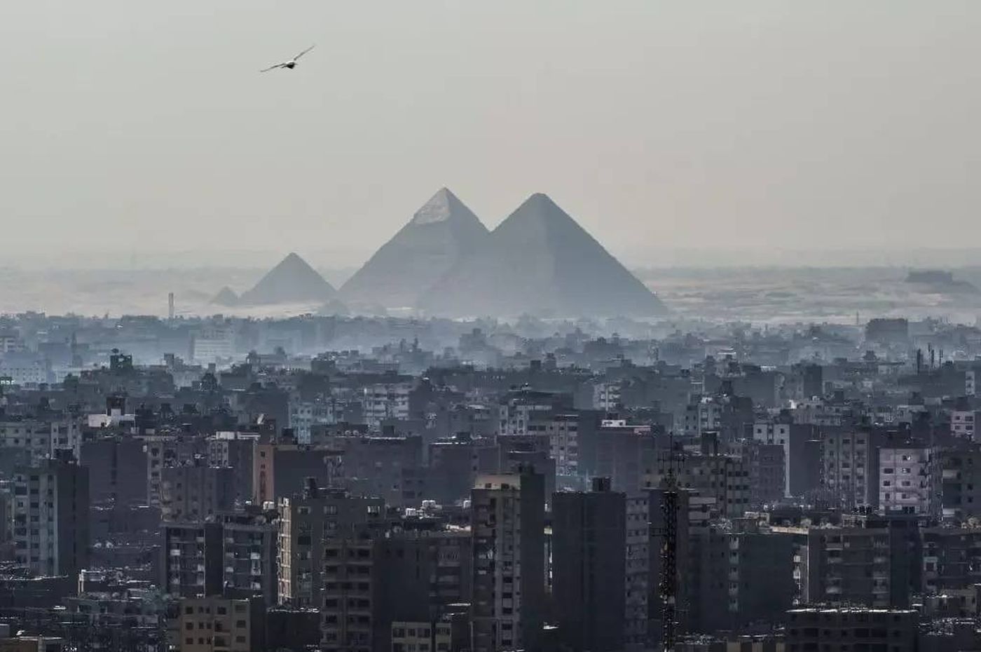مصر بدأت بيع أصولها الضخمة