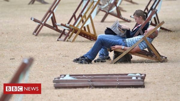 The dried parks and parched lawns of Britain