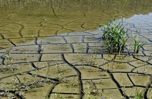 اكتشاف صلة بين الجفاف والفيضانات حول العالم