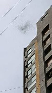 بالصورة- الطيران الإسرائيلي يرمي مناشير فوق العاصمة