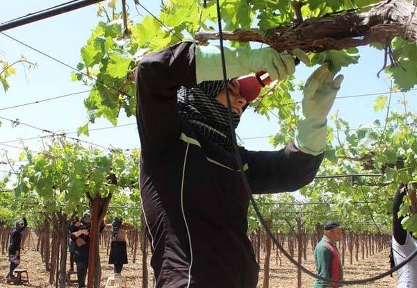 الفتيات النازحات.. قهر يومي بستة آلاف ليرة