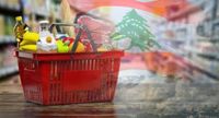 الأمم المتحدة: لبنان أمام تدهور خطير في الأمن الغذائي مع اتساع الأزمة