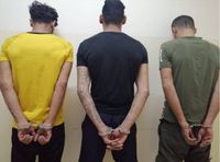 القبض على عصابة سرقة سيارات