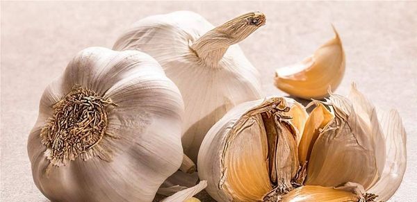 الثوم علاج فعلي للجيوب الانفية