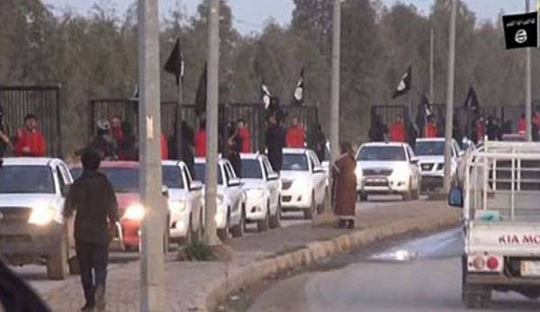 قيادي في داعش: لهذا السبب كنا نتجول بأسرى البيشمركة في الأقفاص