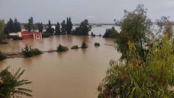 بعد فيضان النهر الكبير.. 
