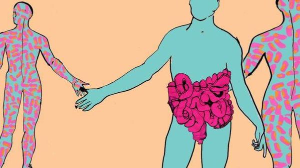 زراعة البراز  تنقذ حياة مريض