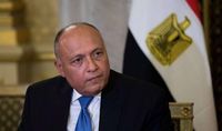 شكري: سوريا حاضرة في الضمير المصري والعربي