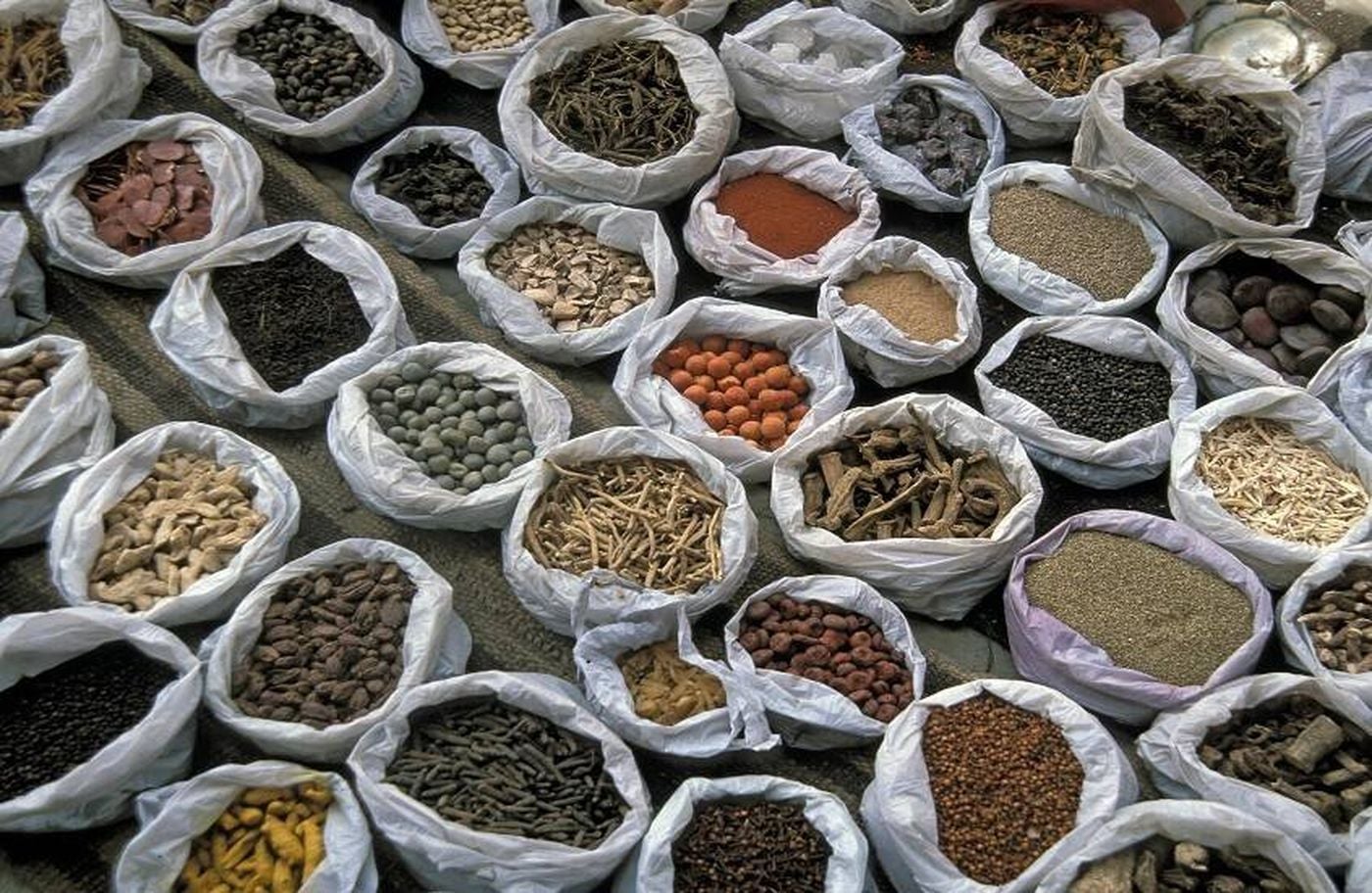 أسرار تحسين المزاج وصحة الجسم في الأيام الباردة