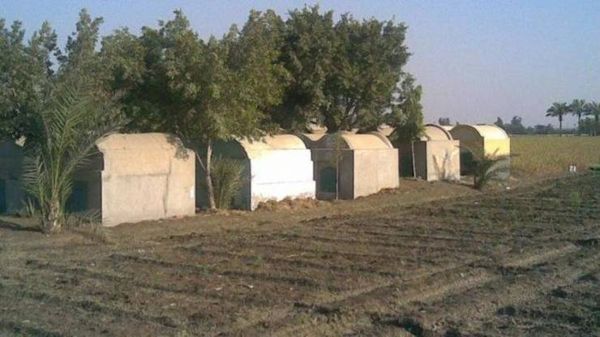 لسبب غريب أخرجا جثة والدهما من قبره ودفناه بالمنزل!