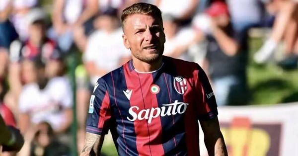 ايموبيلي يستعد لمرحلة جديدة