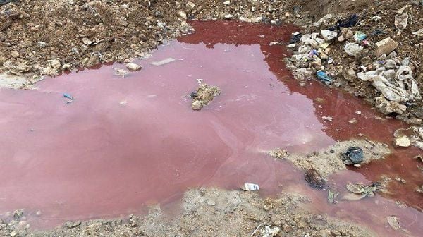 دماء المسالخ تتدفق الى نهر الليطاني... بدنايل على صفيح ساخن!