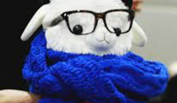 انفصلا والسبب...دمية!