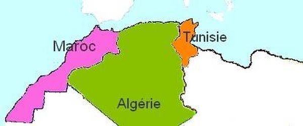 هل دول المغرب العربي الثلاث "آمنة"؟