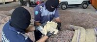 السعودية تحبط عملية تهريب حبوب كبتاغون