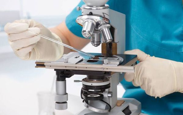 Human Trials of Stem Cell Therapy for Parkinson’s Disease to Begin in Japan