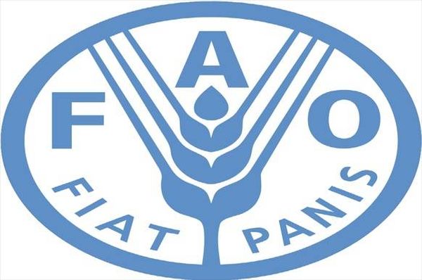 منظمة الأغذية والزراعة تدعم وزارة الزراعة في بناء نظام رصد الملوثات الغذائية