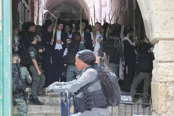 عشرات المستوطنين يقتحمون المسجد الأقصى
وقوات الاحتلال تعتدي على مُرابطين بمحيطه