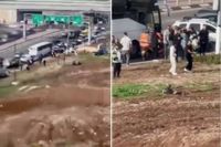 قتيلان إسرائيليان و6 جرحى في عملية دهس وطعن ببيسان