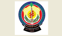 بالفيديو - أمن الدولة تكشف هدراً بملايين الدولارات في كهرباء لبنان