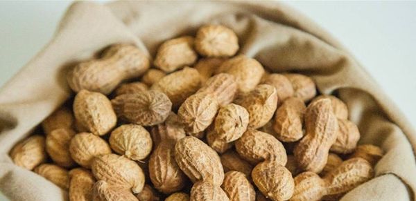 لعشاق الفول السوداني.. اليكم الكمية الموصى بها يوميا