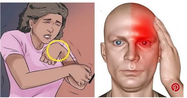 أسباب السكتة الدماغية... إليك كيفية الوقاية منها