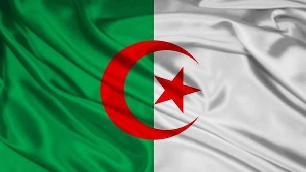 وزير جزائري: صناعة السيارات المحلية بحاجة لأكثر من 20 عاما