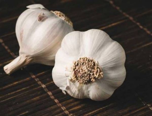 القوة 'الخفية' للثوم.. من طرد البعوض إلى مكافحة السرطان