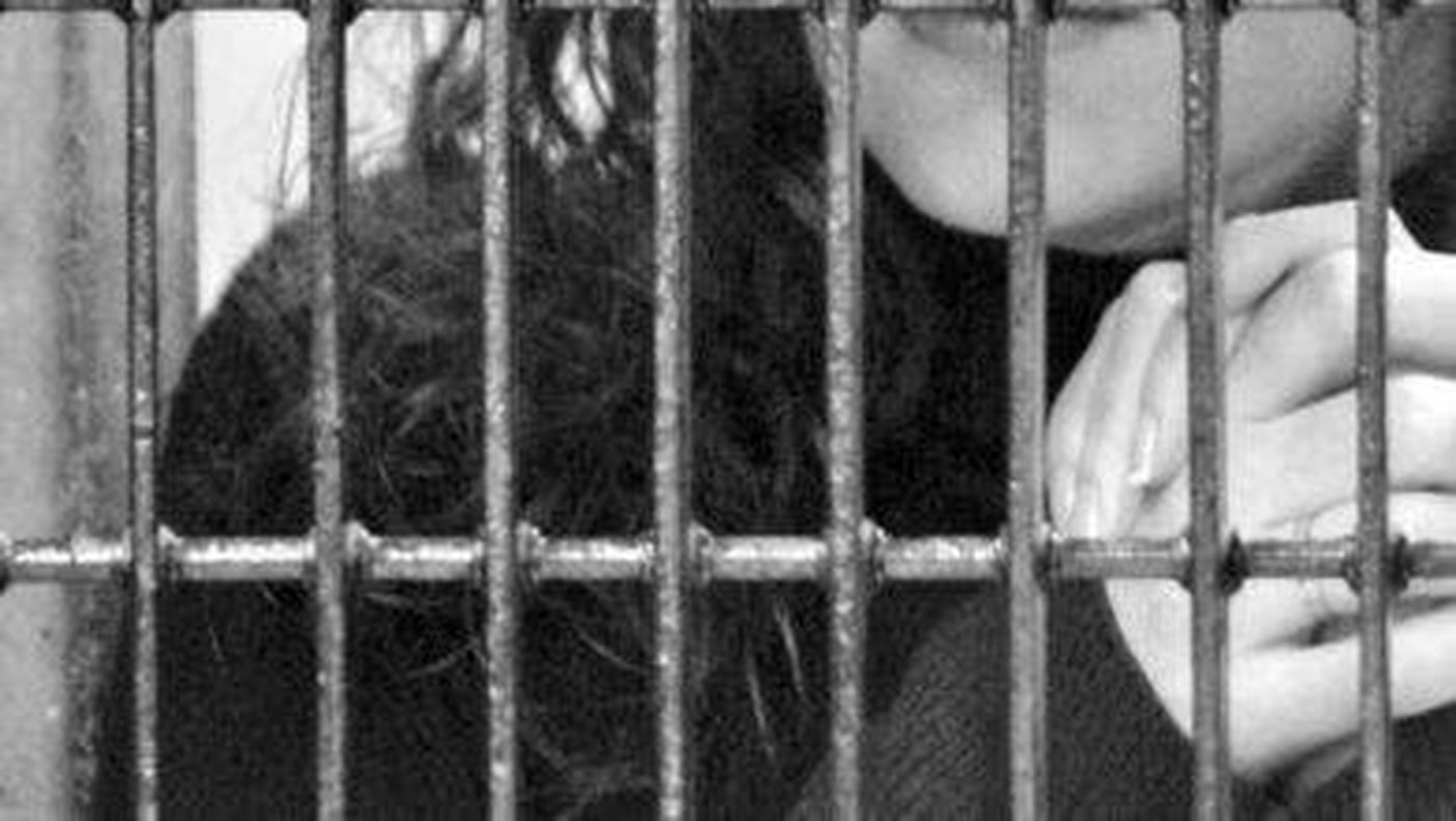 اعتقال ابنة "نجم بيسبول".. أنجبت بغابة ورفضت كشف موقع الرضيع