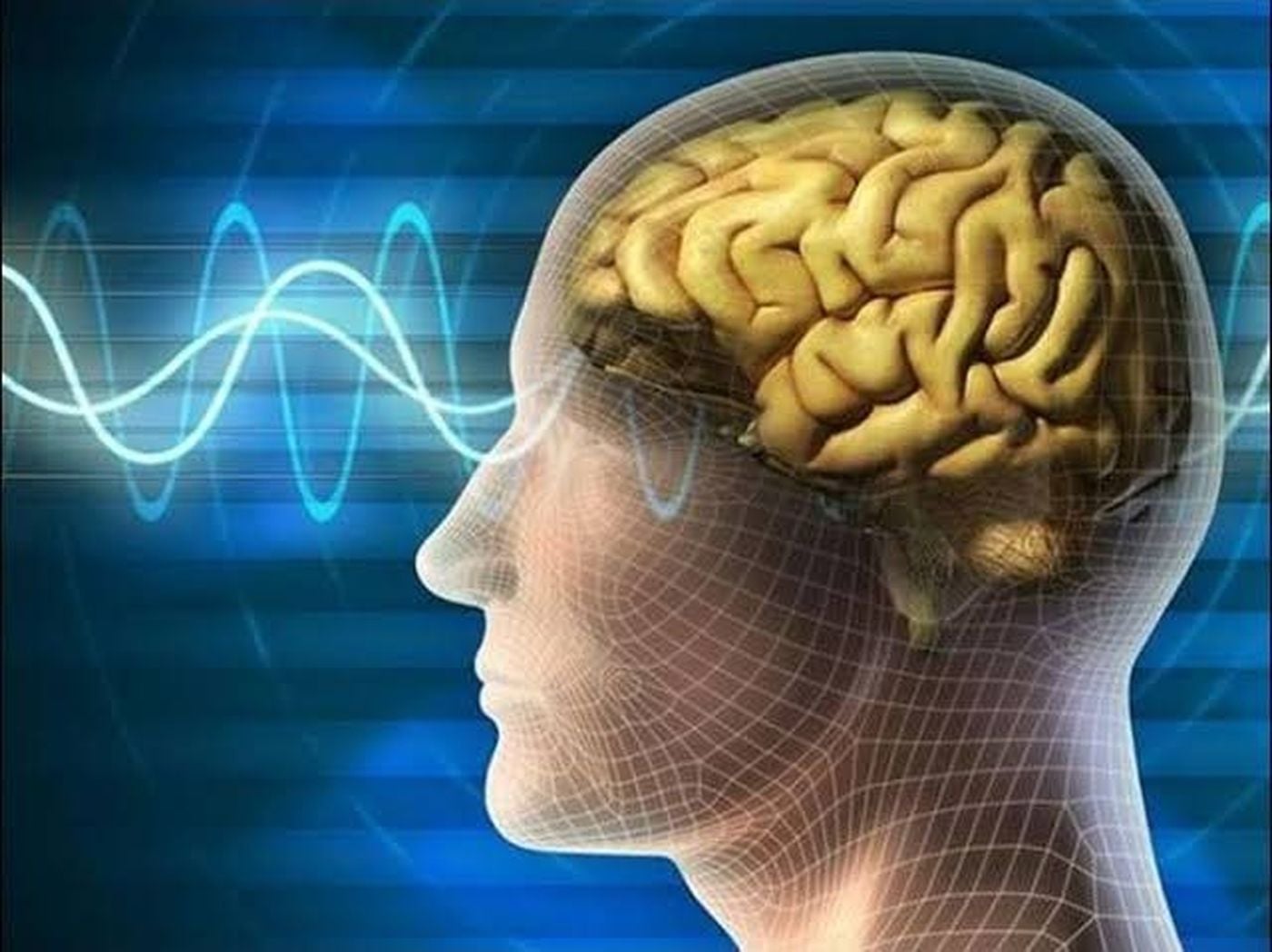 بين الماضي والحاضر.. كيف يحمي الدماغ ذكرياته من الاختلاط؟