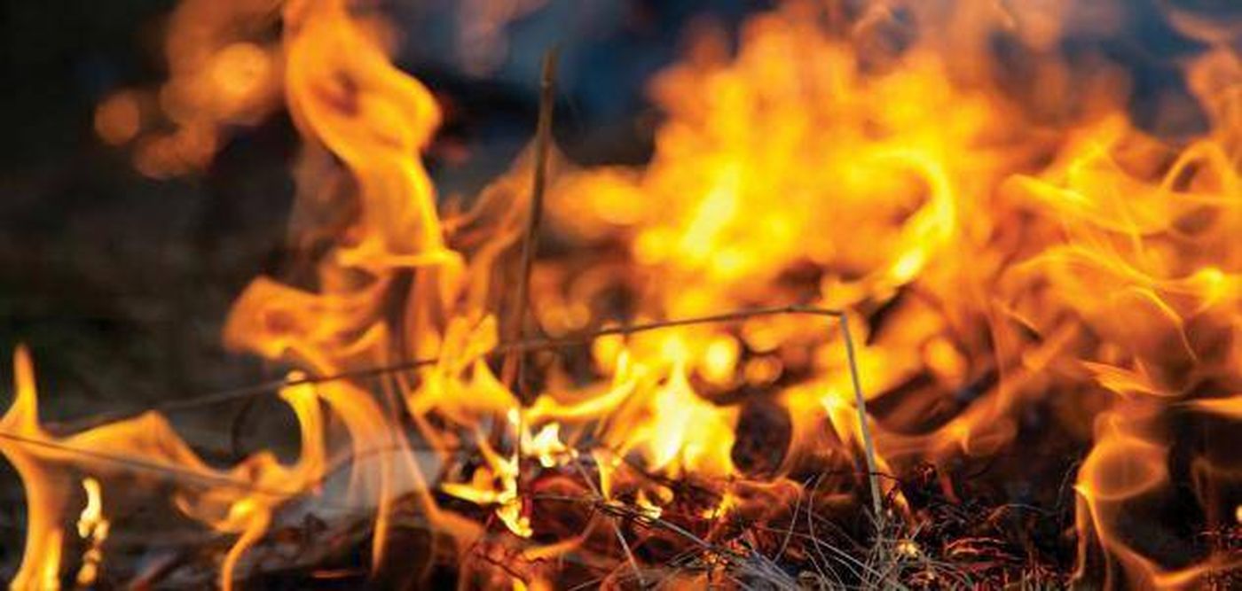 موقد بدائيّ يكشف أسرار الإنسان القديم