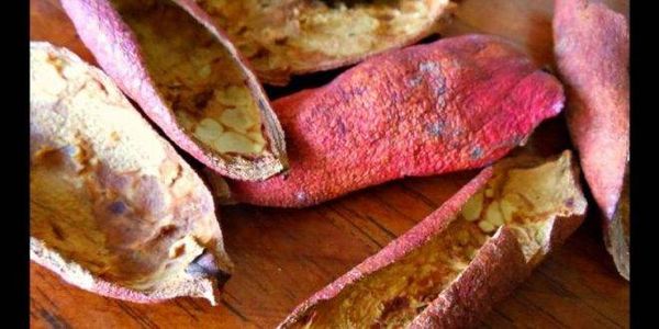 قشور هذا الثمار لمحاربة السرطان... تعرف اليه