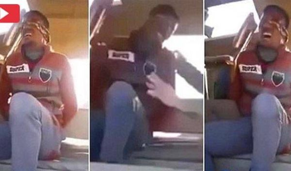 بالفيديو.. داعشي يبكي كالأطفال بعد وقوعه بقبضة الأكراد