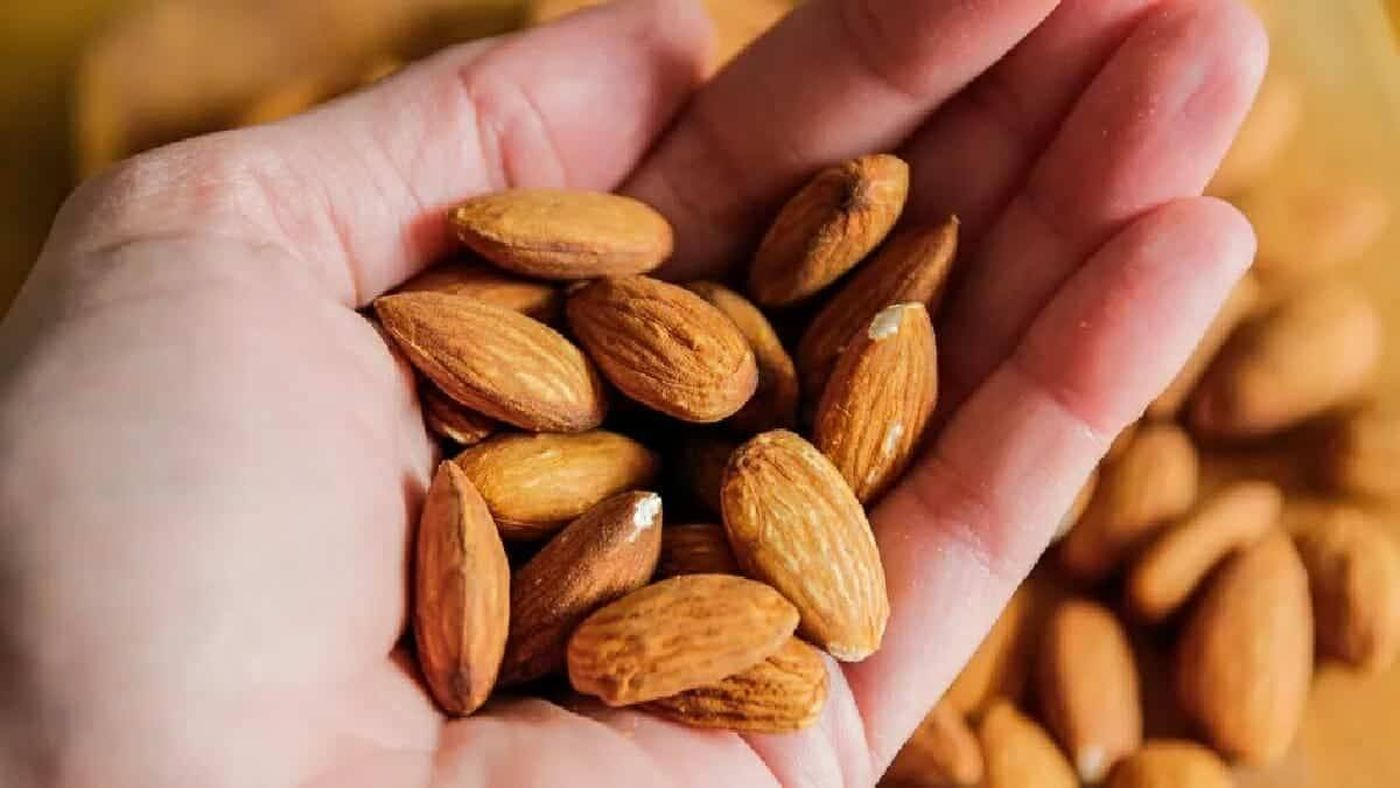 بين الفائدة والضرر.. متى يُفضل تناول اللوز بدون قشر؟