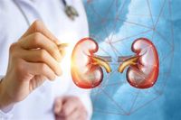 ارتفاع درجات الحرارة صيفاً يهدد صحة الكلى