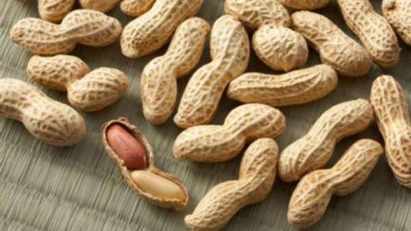 ماذا يحدث للرجل إذا أكل 30 جرام من الفول السوداني كل يوم ولمدة 2 أسابيع