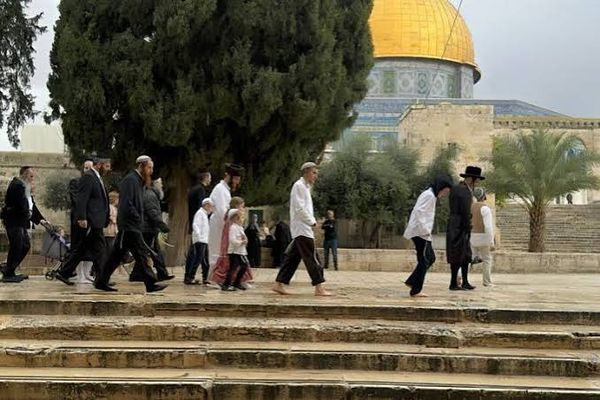 محافظة القدس: التعتيم الإعلامي الإسرائيلي على اقتحام المستوطنين للأقصى يثير مخاوف من محاولة فرض وقائع جديدة