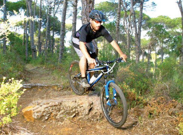 «بيت الغابة».. مشروع مخصص لمحبي البيئة في لبنان