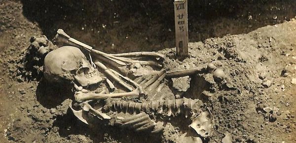 العثور على أقدم ضحية في التاريخ لهجوم سمك القرش تعود إلى 3000 عام