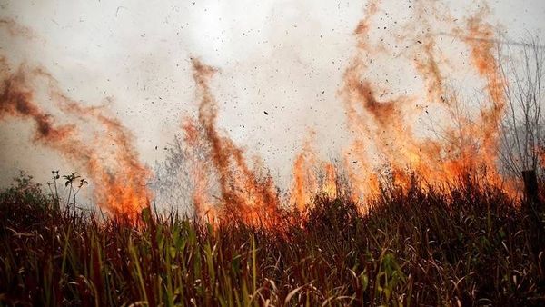 البرازيل.. طائرات حربية تقذف آلاف الغالونات من المياه فوق الأمازون (صور + فيديو)