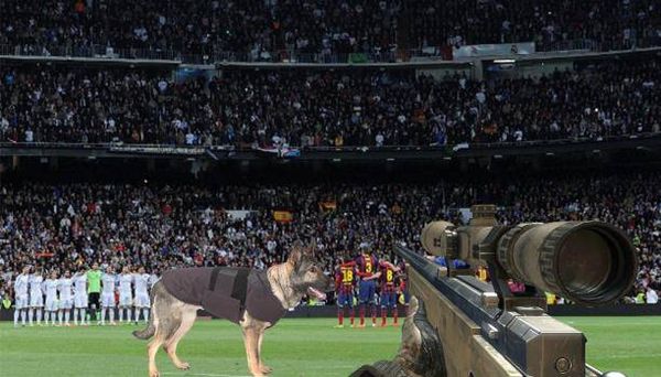 كلاب وقناصون و1500 شرطي لتأمين "كلاسيكو" الأرض!
