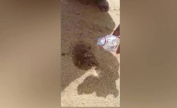 فيديو: سكب الماء على العقرب .. والنتيجة مذهلة !!