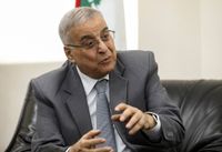 بوحبيب: قضيّة الوزير قرداحي ليست المشكلة الوحيدة
