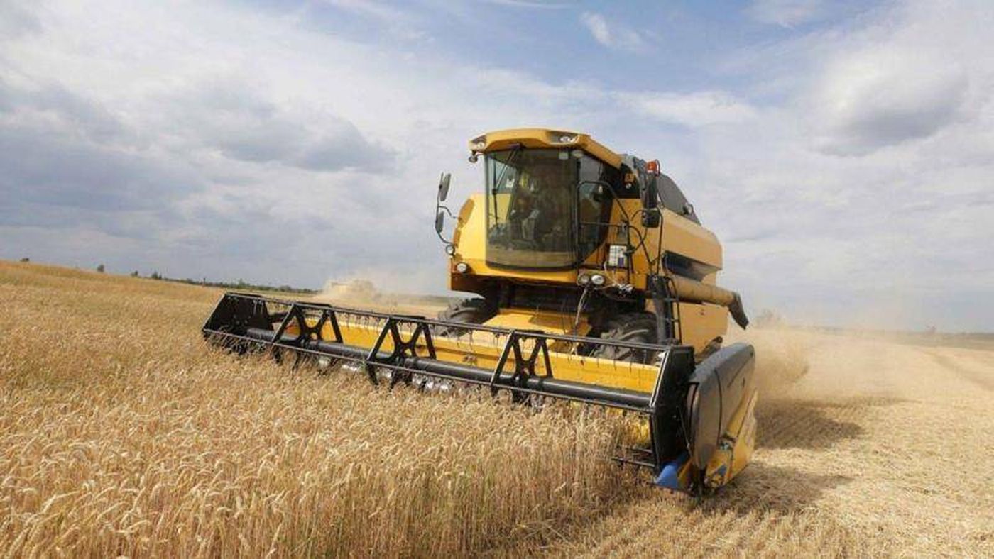 أوكرانيا تبدأ بحصاد الحبوب لعام 2023