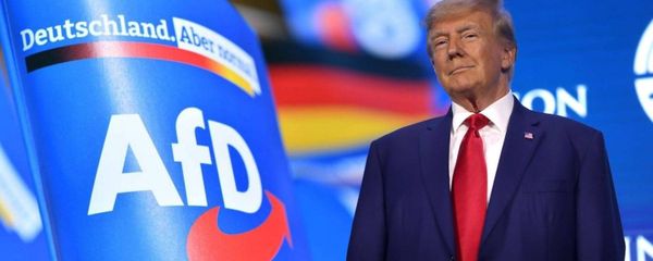 تراجع اليمين المتطرف الألماني عن دعم ترامب