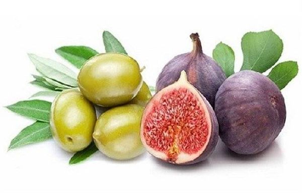 ماذا يحدث لجسم الانسان عند تناول "التين والزيتون" معاً؟