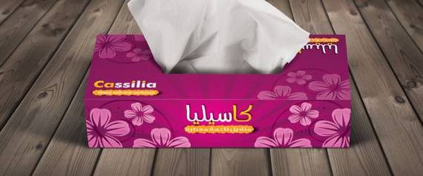 سرق 4 علب مناديل وسجن لمدة سنة!!